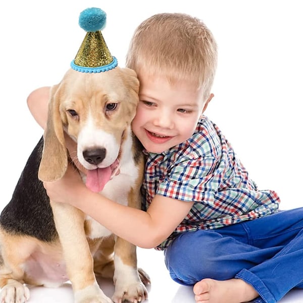 3 Pakker Mini Fødselsdagshuer til Små Hunde Katte Party Huer Kæledyrs Fødselsdagspleje Hårbånd Tilbehør