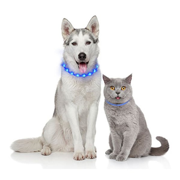 LED-halsband för hund, TPU-säkerhetshalsband, lämplig för små och medelstora hundar
