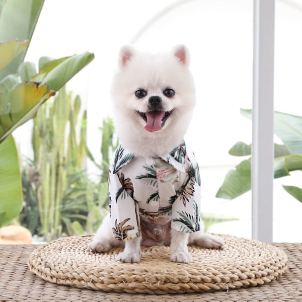 Hund sommer tøj Strandskjorte Kokospalme mønster hundetøj