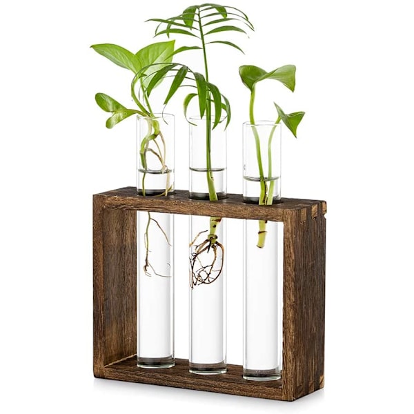Hängande Glasplanteringsstation för Bord, Modern 3 Provrörsblomvas i Träställ, Bordsterarium för Hydroponiska Växter