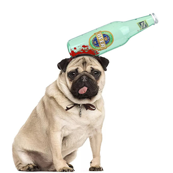 Hodeplagg for hund og katt, Halloween-hodeplagg, morsomme rekvisitter for kjæledyr, morsom hatt