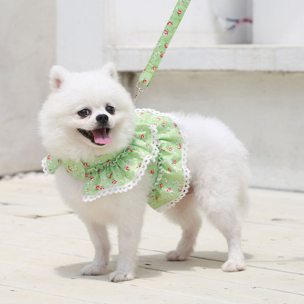 Søde hvalpe seler Pelsdragt, hvalpe seler og pelsdragt, hund seler Kjole pige, kæledyr blomsterkjole forår sommer
