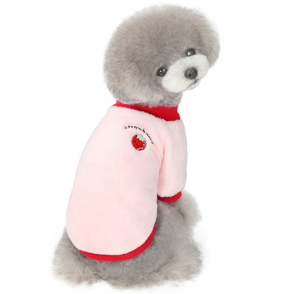 Varmt tøj til kæledyr i efterår og vinter Kæledyrstøj Hund to-benet sweater Kæledyr frugt sweater