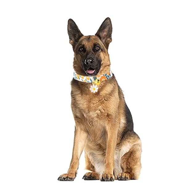 Gul hundedesign blå Daisy hundekrave