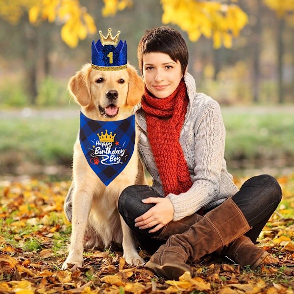 Flag Banner Kageindsats Fødselsdagshue til Hund