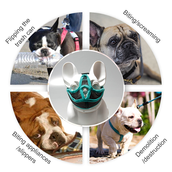 Kort Snud Hundemundkurv - Justerbar Åndbar Mesh Bulldog Mundkurv til Bidende Tyggende Barkende Hunde Maske (Grøn)