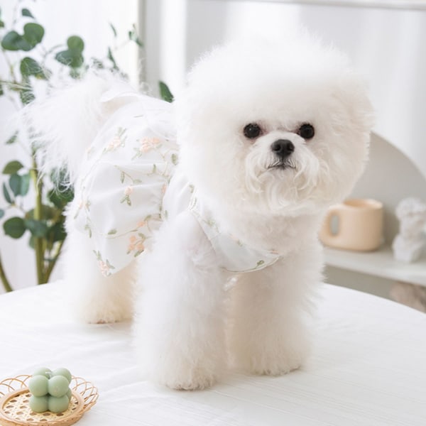Hundekjole Hundeprinsesse Kjole Antrekk Valpehund Skjørt Blonder Skinnende Broderte Sløyfe Kjæledyrklær Jente for Bryllup Bursdagsfest Katt Klær