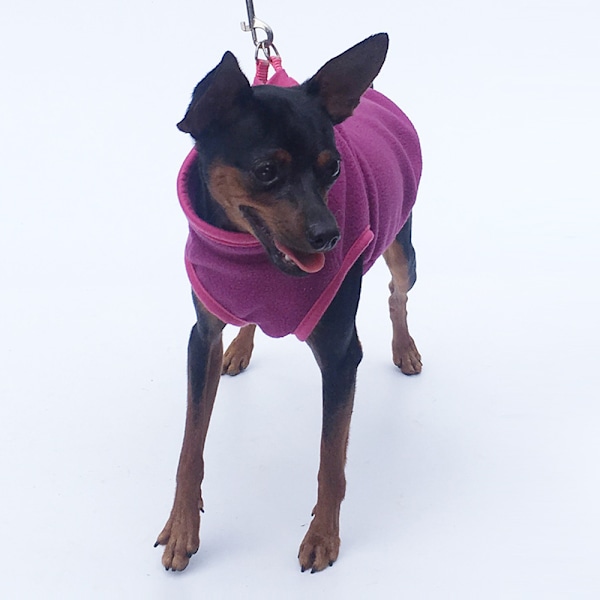 Hundetøj Hundeforklæder Let fleece ærmeløs Hundetøj Hund vinter varm sweater