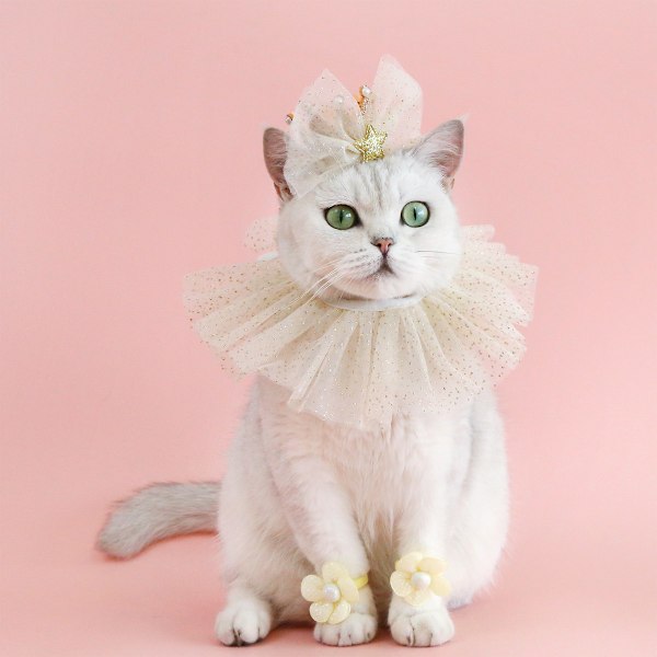 Gullfarget sekken-forkle med krone-sett for katt og hund - Bursdagsfestprinsessebue-tiara for hundebursdag
