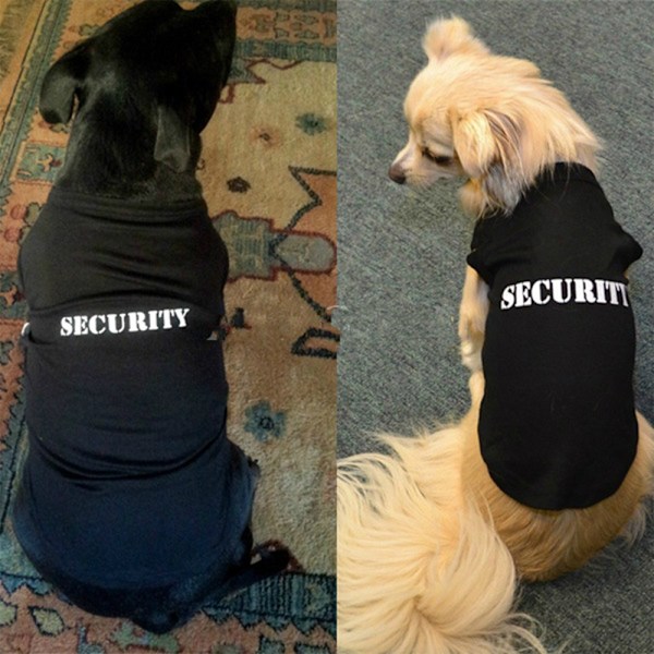 Hundeklæder - Cool T-shirt i Solid Farve