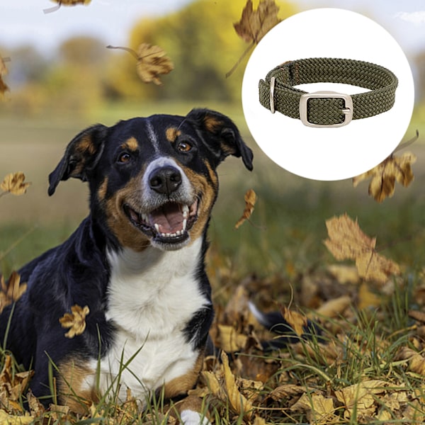 Hundekrave i dobbelt flet, Jægergrøn, 1 x 21 tommer