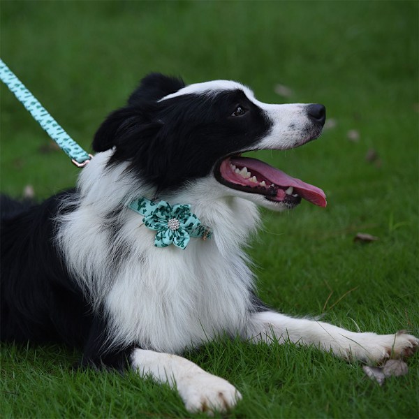 Et udvalg af blomstermønstrede hundefløjter til hunhunde med blomster