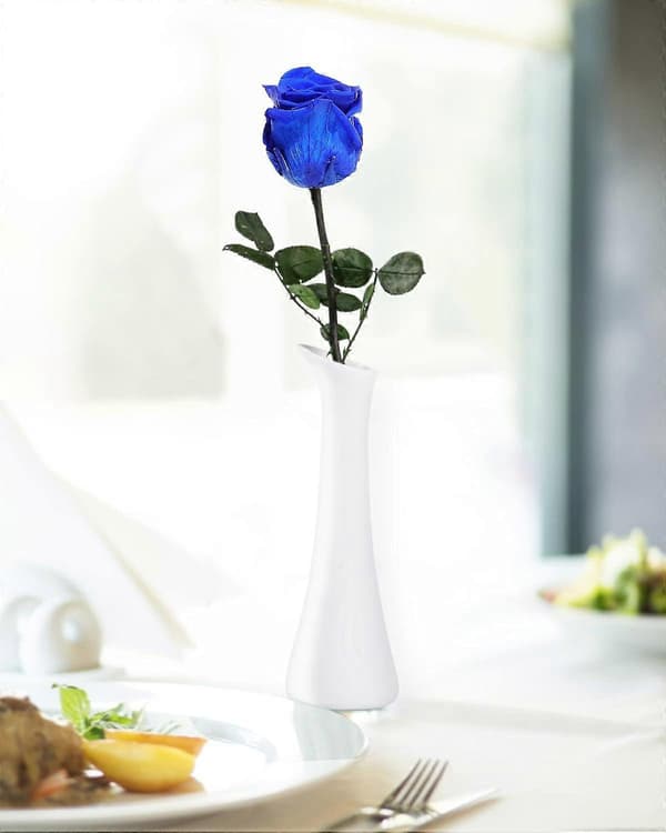Blå blomster for Prime-levering, konserverte blå roser, blomstergaver til kvinner, ekte roser