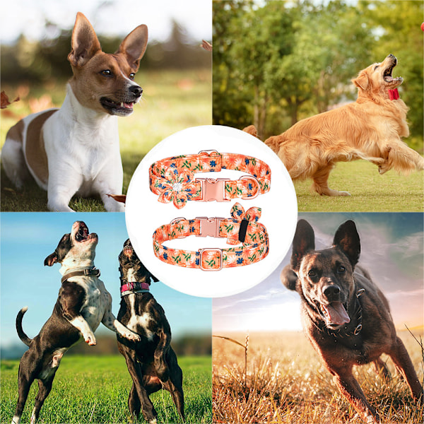 Hundekrave, pige hundekrave hundekrave blomstermønster hundekrave sød hundekrave