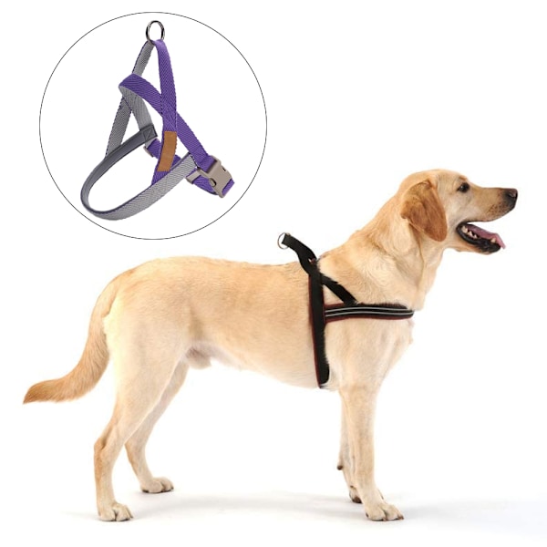 Hundevest med bryststropp for store hunder med gåseleie for golden retriever.