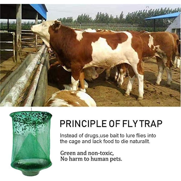 Ranch flugfälla med betebricka, återanvändbar flugfälla Flay Catcher Cage för inomhus- eller utomhusfamiljegårdar, park, restauranger (2-pack)
