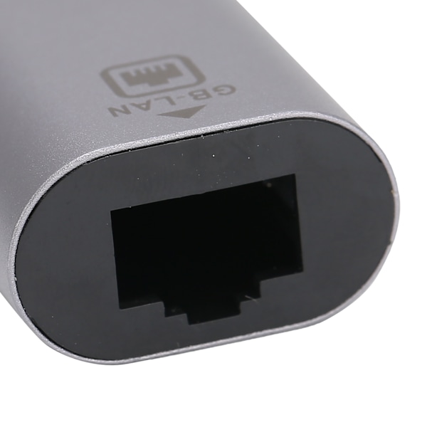 USB-C till Ethernet LAN RJ45 Adapter Konverterare Stöd för Android OS X/Windows 10/100/1000Mbps