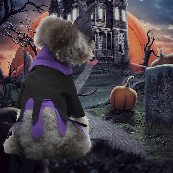 Hundkostym Halloween Hund Cosplay Kostym Klänning för Valp Speciella Evenemang Roliga Foto Rekvisita Tillbehör