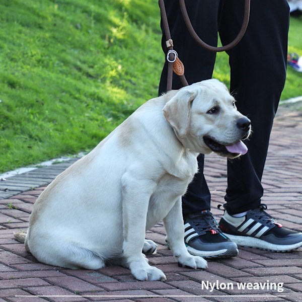 Hundeleie, Glidende Tau Hundetreningsleie, Flettet Dyretreningsleie