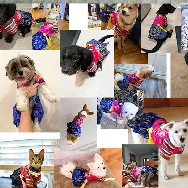 Hundekostume Koreansk Traditionel Knude Vedhæng Broderi Silke Kæledyrs Tøj Outfit Farve Kjole til Små Hvalpe Stor Kat