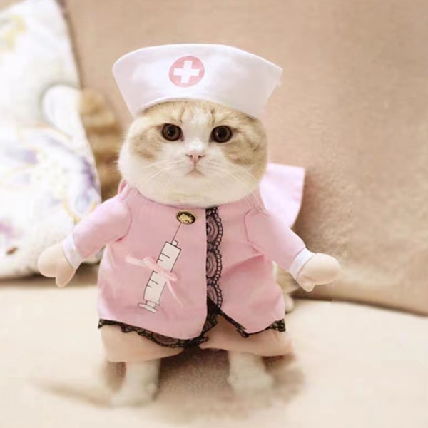 Sjuksköterskedräkt för husdjur, hund och katt, Halloween-kostym, hundjeanskläder, rolig klädsel för katt