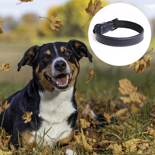 Läder hundhalsband, justerbart vadderat husdjurshalsband med legeringsspänne