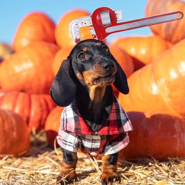 Halloween-lemmikkieläinten asusteet - Avaimenpään hiuspanta, verinen pääpanta koirien ja kissojen pukeutumiseen, pentujen temppuvälineet cosplay-juhliin