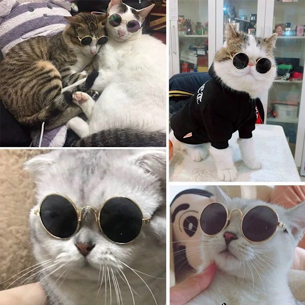 10 st Hundsolglasögon Runda Metall Katt Klassiska Retro Solglasögon Husdjur Hippie Söt och Rolig Husdjur Solglasögon