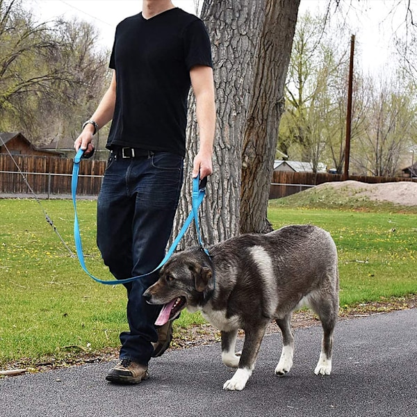 Pet Gear Hundeleie 1,5m Lang Polstret To Håndtak Heavy Duty Dobbel Håndtak Leie for Kontroll Sikkerhet Trening Leier for Store Hunder eller Middels Hunder