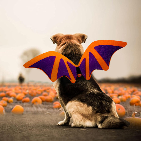 Lemmikki Kissalle Lepakko Siivet Halloween Juhla Koristeluun, Pennun Kaulukset Johtaa Cosplay Lepakko Puku