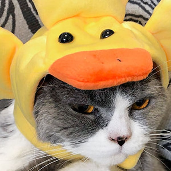 2 söta husdjur katt huvudbonad tecknad hund huvudbonad katt hatt husdjur cross dressing fest säljer söta produkter
