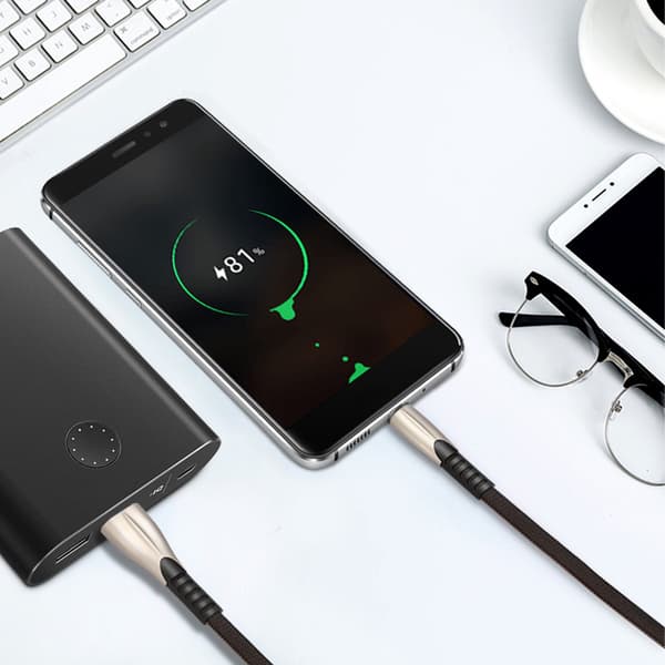 1 x mobile phone charging cable