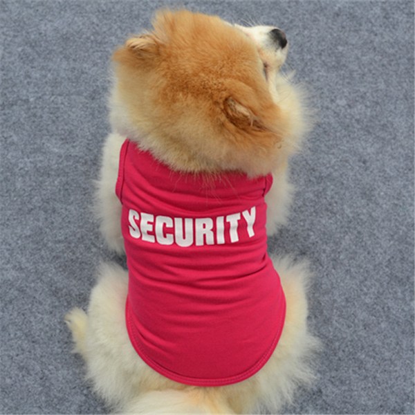 Husdjurskläder Hund coola kläder Hund casual kläder