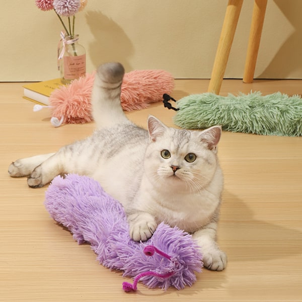 2 st kattmynta leksak katt sparkboll leksak interaktiv katt leksak kattunge leksak inomhus kattunge spark kuddleksak