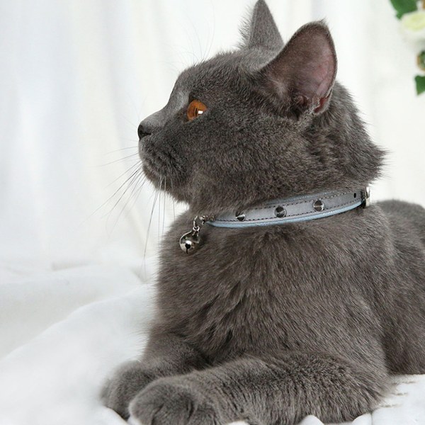 Kattkrage - Reflexiv hundkrage med klocka, justerbar PU-läder mjukt tack kattkrage