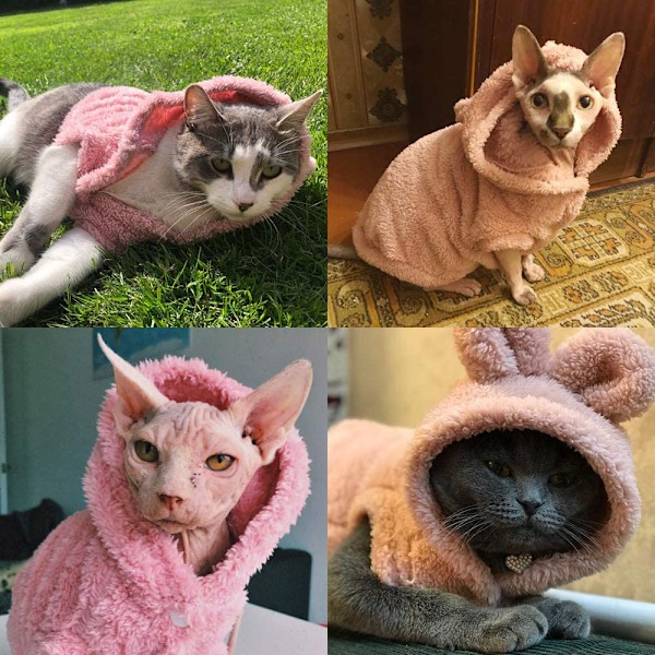 Vahva huppuinen ja paksutettu ranskalainen bulldog-fleece-takki koiralle, lämmin ja mukava fleece