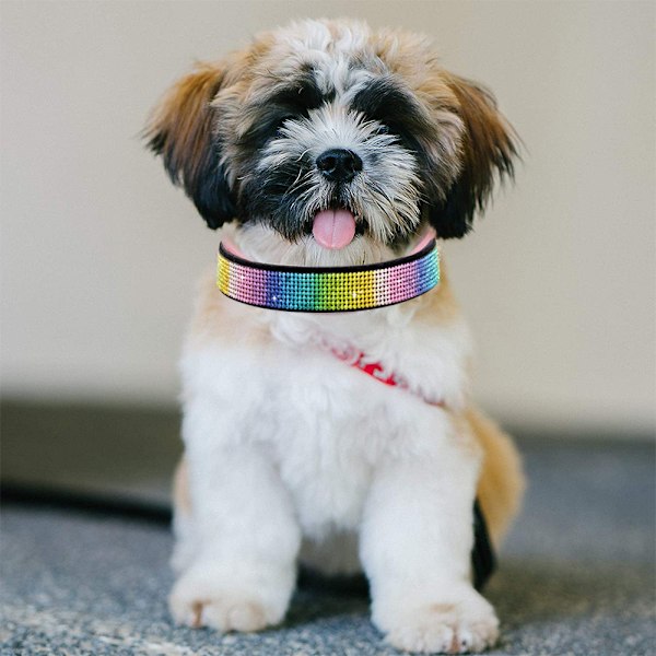 Flickhalsband för flickhundar, medelstora hundar, sött glitternylon, rosa hundhalsband för stora små hundar, honhundhalsband med snabbspänne, mjukt husdjurshalsband