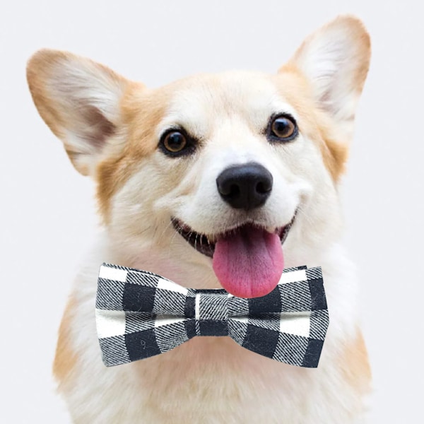 Justerbart husdjurshalsband Checker Bowknot Hundhalsband