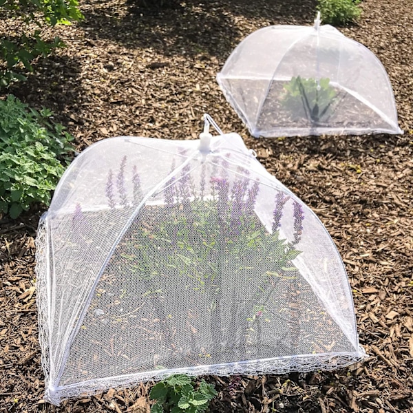 (6-pack) Stora och höga 17x17 Pop-Up Mesh Matöverdrag Tält Parasoll för Utomhus, Skärmtält, Fester Picknickar, Grillfester, Återanvändbara och Hopfällbara