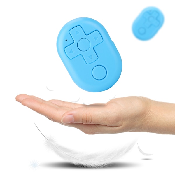 1 * Remote Control 1 * User Manual