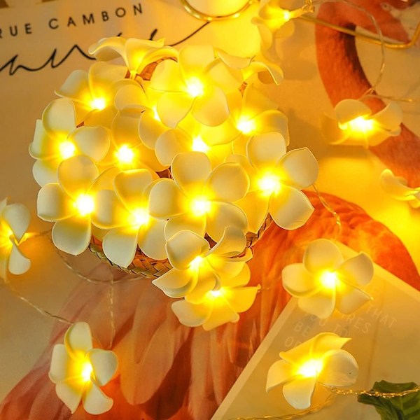 LED konstgjorda Plumeria Flower String Lights- Hawaiian Foam Frangipani Flower Light, USB -driven, Fairy String Light för sovrum, födelsedagsbröllop