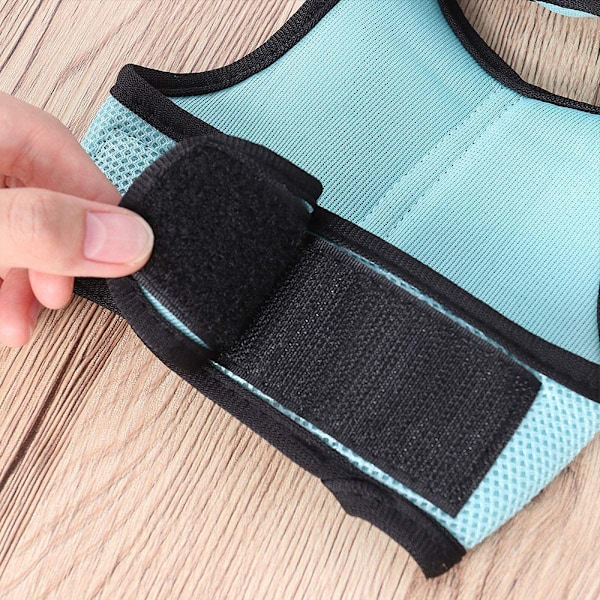 Liten husdjursele med klocka, ingen dragkomfort vadderad väst hållbar nylon, marsvinssele koppel set alla säsonger för liten kanin, iller, råttor, leguan,