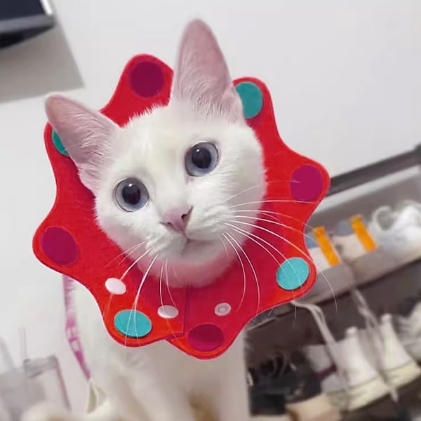 Katt återhämtningskrage - Söta blommiga nackkatter kottar efter operation, justerbar katt e-krage, kirurgisk återhämtning Elizabethan kragar