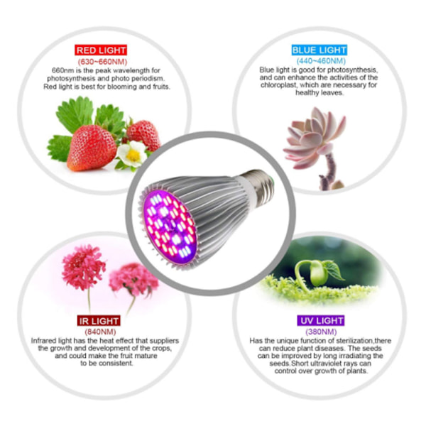 Full Spectrum Växtlampa LED-lampa för inomhusväxter