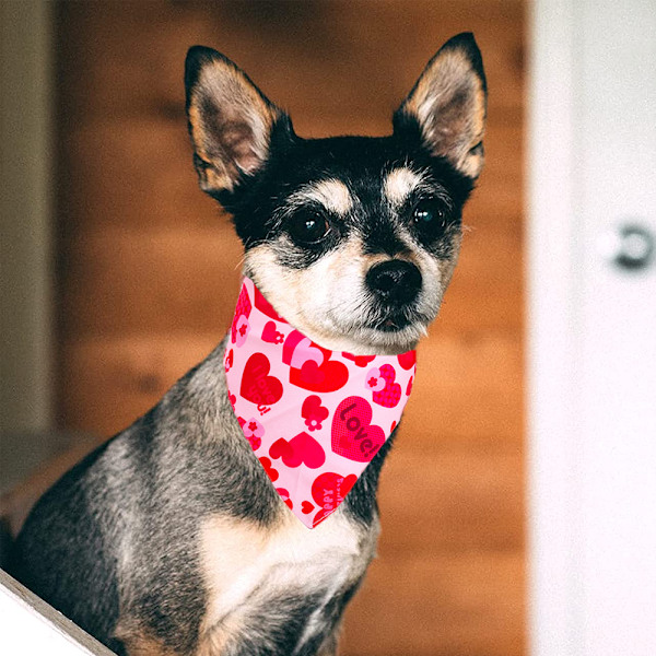 2-pack Valentinsdag hundbandana vändbara trekantslappar halsduk accessoarer för hundar katter husdjur små