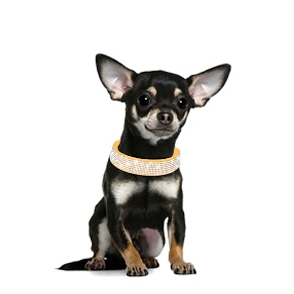 Bling Rhinestone læder hundekrave - Krystalindlagt til hunde og killinger