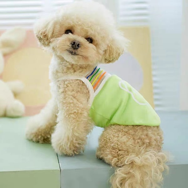 3-pack små hundtröjor mjuka andningsbara bomull valp T-shirt för små hundar flicka sommar söt tryck husdjur tee ärmlös väst kattkläder outfits regnbåge