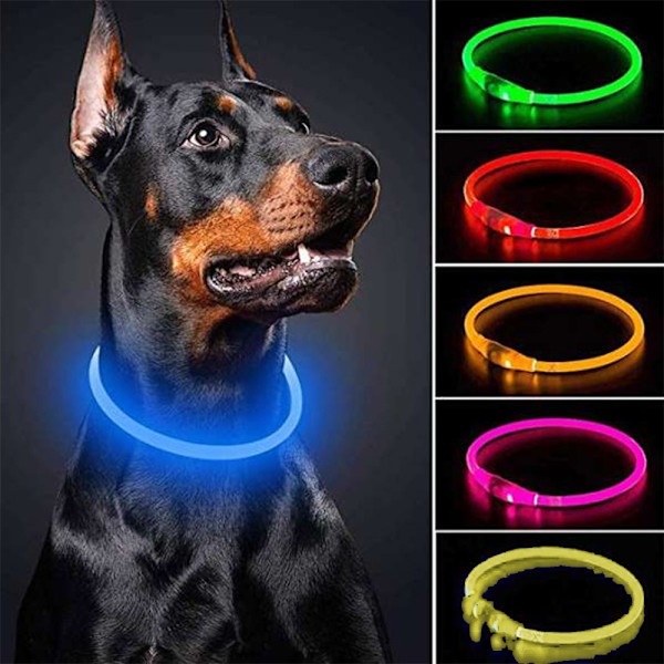 Ljusstarkt LED-halsband för hundar, 1 st, vattentätt, mini-USB-laddningsbart, TPU-glödande säkerhetsbas