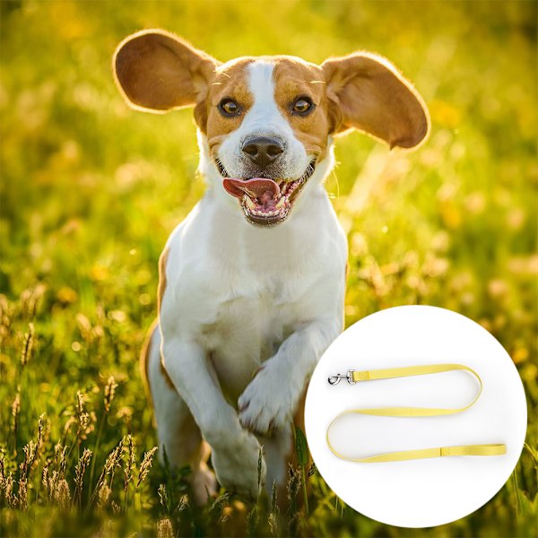 Halsband för hund Gradient mjukt spänne bekvämt nylon justerbart husdjurshalsband för stora, medelstora och små valpar