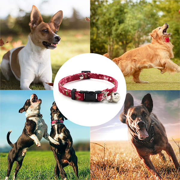 Halsband för hund med spänne i plast, justerbart